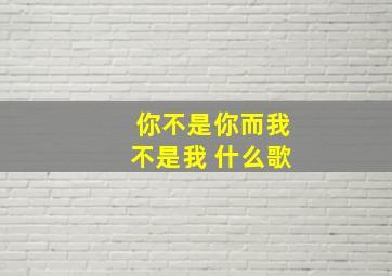 你不是你而我不是我 什么歌